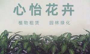 成都心怡花卉租賃有限公司